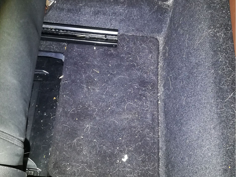 Pet hair worked into the carpet around the seat rails