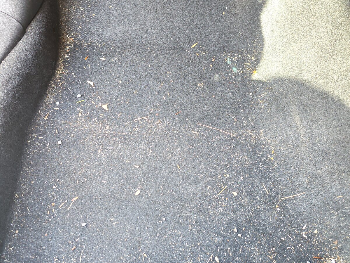 Carpet before cleaning